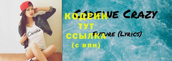 ГАЛЛЮЦИНОГЕННЫЕ ГРИБЫ Семёнов