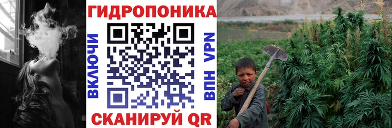 как найти закладки  Белёв  Бошки марихуана VHQ 